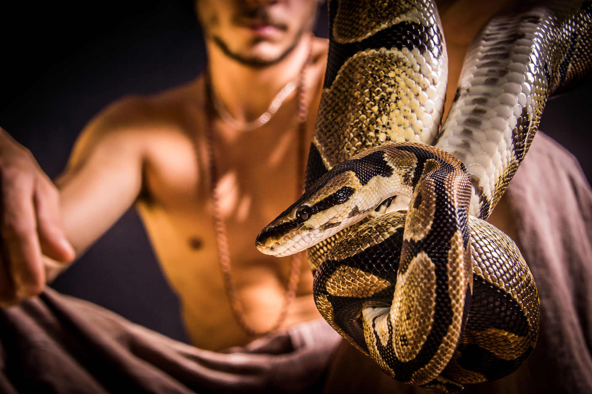 Shooting animalier